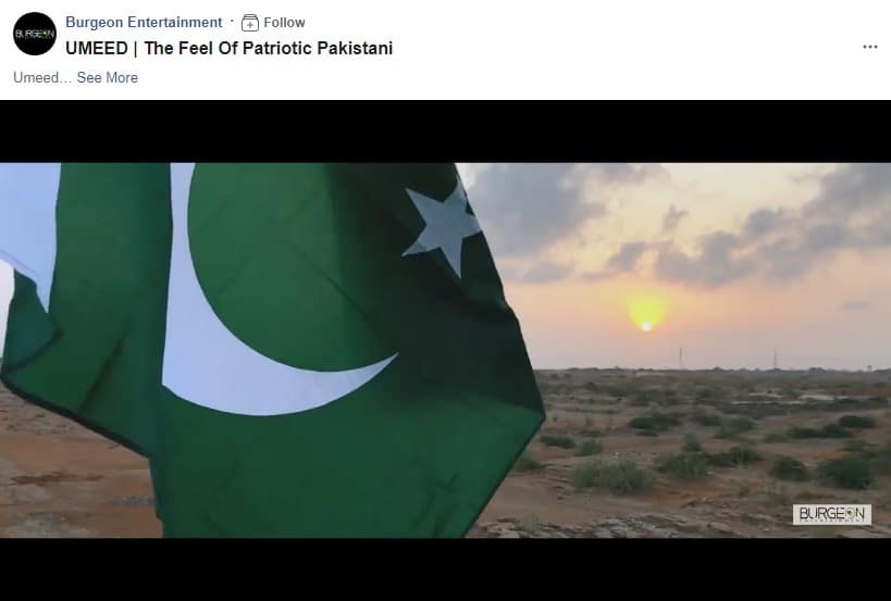 Pakistan flag