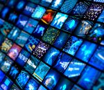 media role