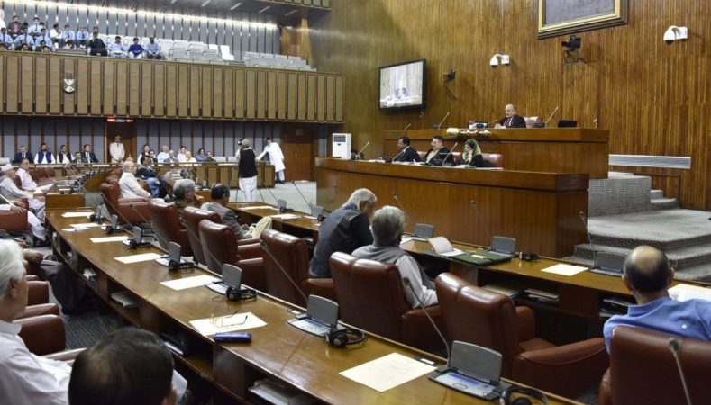 Legal status of CPEC Authority questioned in Senate