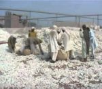 PM urged to abolish taxes, duties on cotton yarn import