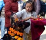 nepal or india main kutton ko poojne ka ajeeb tehwar