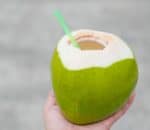 few coconut farms left in karachi