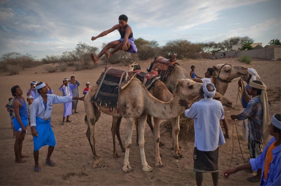 camel jumping ab bhi yemen ki pehchan