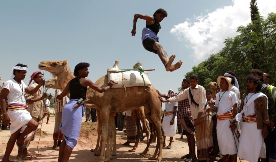 camel jumping ab bhi yemen ki pehchan