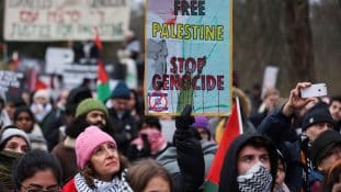 Palestinion k nasal kushi